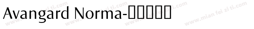 Avangard Norma字体转换